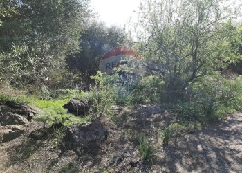 Giardino - Terreno agricolo Via Vinazza
 
14, Misterbianco - foto 63