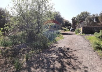 Giardino - Terreno agricolo Via Vinazza
 
14, Misterbianco - foto 64