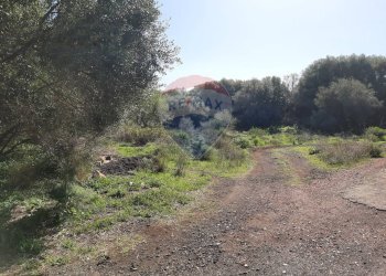 Giardino - Terreno agricolo Via Vinazza
 
14, Misterbianco - foto 67