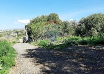 Giardino - Terreno agricolo Via Vinazza
 
14, Misterbianco - foto 70