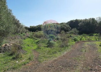 Vista delle montagne - Terreno agricolo Via Vinazza
 
14, Misterbianco - foto 72