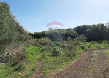 Vista delle montagne - Terreno agricolo Via Vinazza
 
14, Misterbianco - foto 73