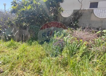 Giardino - Villa VIA VITALIANO BRANCATI
 
17, Caltagirone - foto 61