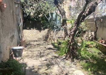 Giardino - Villa VIA VITALIANO BRANCATI
 
17, Caltagirone - foto 62