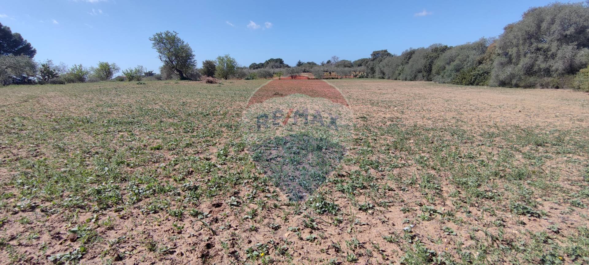 Vista delle montagne - Terreno agricolo CONTRADA PIANO CHIESA
SN, Caltagirone - foto 2