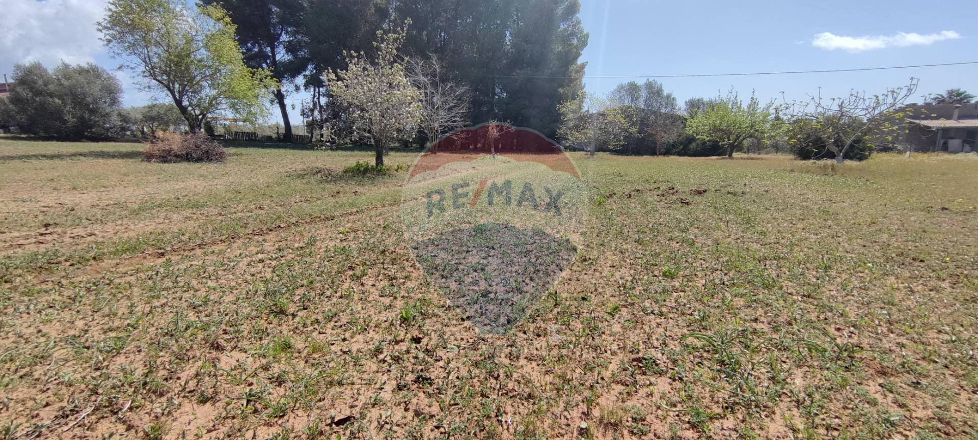 Giardino - Terreno agricolo CONTRADA PIANO CHIESA
SN, Caltagirone - foto 3