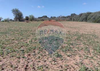 Vista delle montagne - Terreno agricolo CONTRADA PIANO CHIESA
 
SN, Caltagirone - foto 2