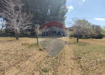 Giardino - Terreno agricolo CONTRADA PIANO CHIESA
 
SN, Caltagirone - foto 7