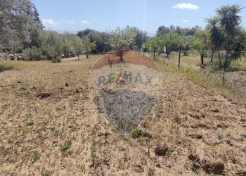 Giardino - Terreno agricolo CONTRADA PIANO CHIESA
 
SN, Caltagirone - foto 9