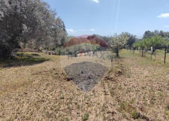 Giardino - Terreno agricolo CONTRADA PIANO CHIESA
 
SN, Caltagirone - foto 10