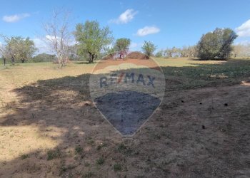 Giardino - Terreno agricolo CONTRADA PIANO CHIESA
 
SN, Caltagirone - foto 15
