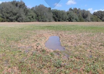 Vista delle montagne - Terreno agricolo CONTRADA PIANO CHIESA
 
SN, Caltagirone - foto 18