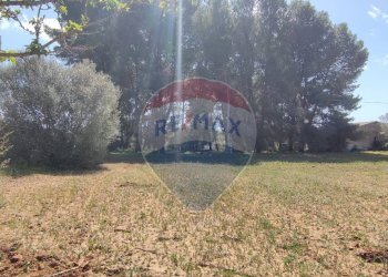 Giardino - Terreno agricolo CONTRADA PIANO CHIESA
 
SN, Caltagirone - foto 19