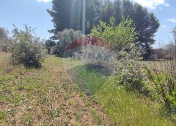 Giardino - Terreno agricolo CONTRADA PIANO CHIESA
 
SN, Caltagirone - foto 21