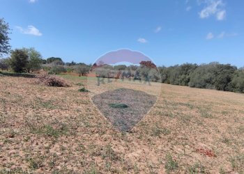 Vista delle montagne - Terreno agricolo CONTRADA PIANO CHIESA
 
SN, Caltagirone - foto 25
