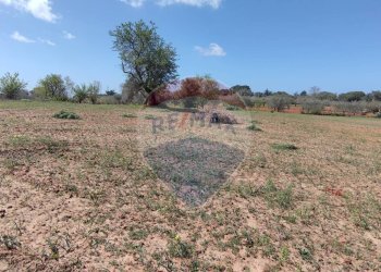 Giardino - Terreno agricolo CONTRADA PIANO CHIESA
 
SN, Caltagirone - foto 26