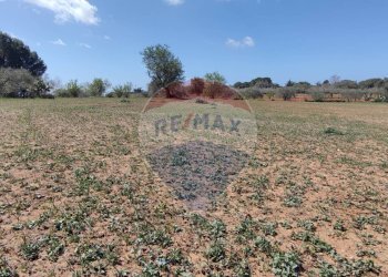 Giardino - Terreno agricolo CONTRADA PIANO CHIESA
 
SN, Caltagirone - foto 27
