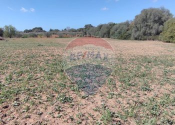 Vista delle montagne - Terreno agricolo CONTRADA PIANO CHIESA
 
SN, Caltagirone - foto 29