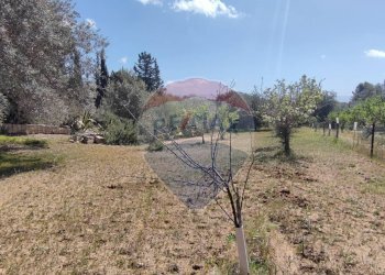 Giardino - Terreno agricolo CONTRADA PIANO CHIESA
 
SN, Caltagirone - foto 31