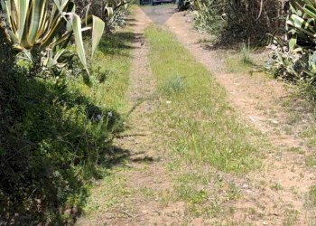 Giardino - Terreno agricolo CONTRADA PIANO CHIESA
 
SN, Caltagirone - foto 36