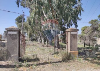 Giardino - Terreno edificabile c.da Poggio Impiso, Vizzini - foto 4