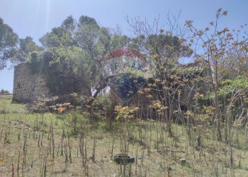 Giardino - Terreno edificabile c.da Poggio Impiso, Vizzini - foto 10