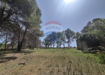 Giardino - Terreno edificabile c.da Poggio Impiso, Vizzini - foto 11