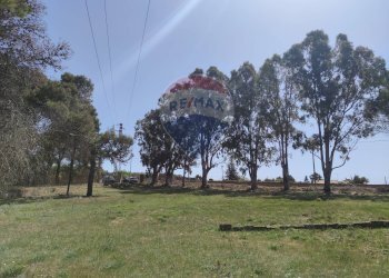 Giardino - Terreno edificabile c.da Poggio Impiso, Vizzini - foto 12
