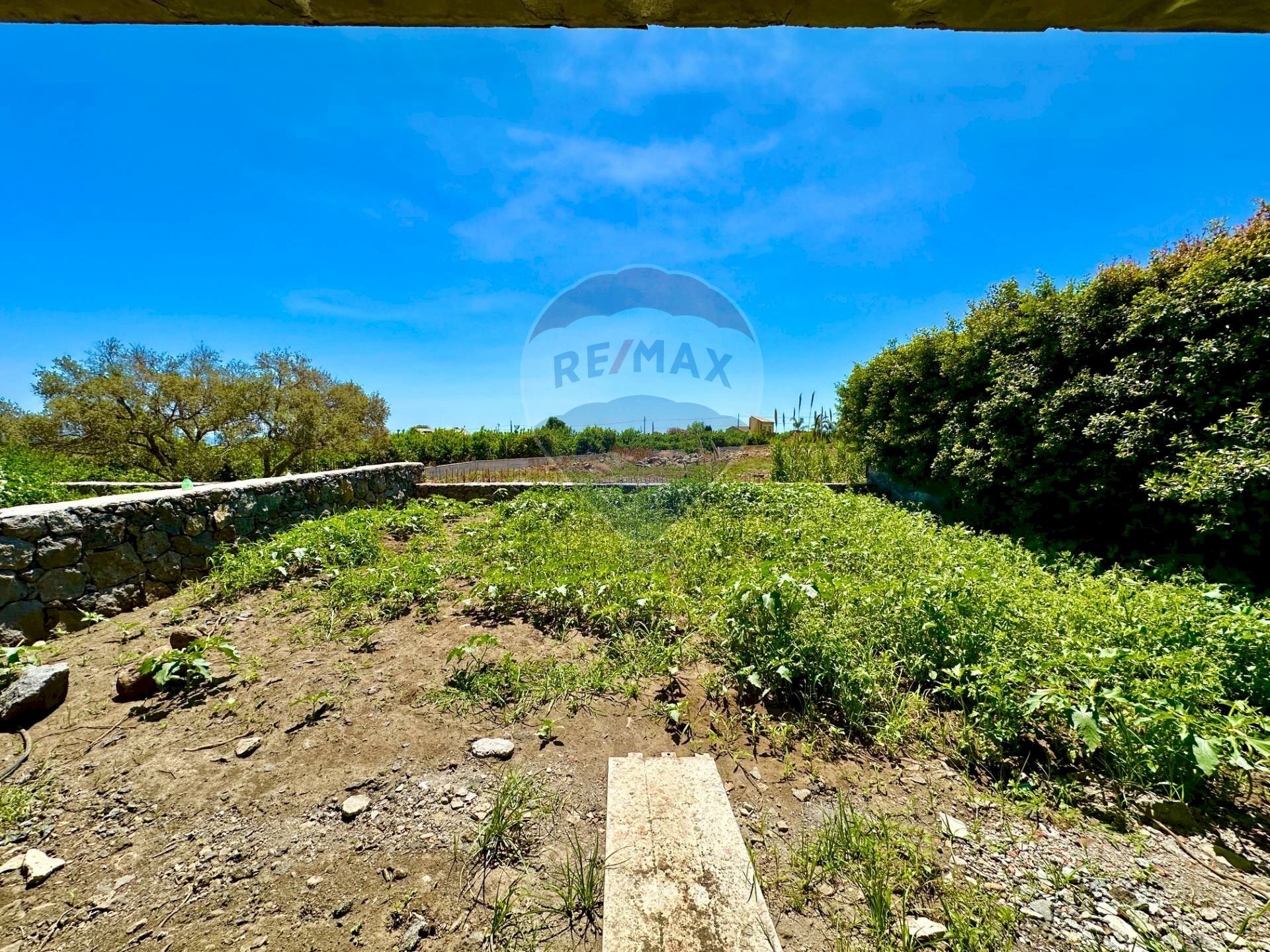 Giardino - Villa a Schiera Strada 12 Torre Archirafi
S.N., Riposto - foto 3