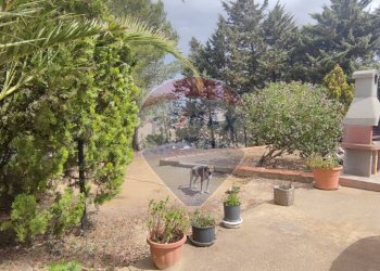 Giardino - Villa VIA ANTONINO GRAVINA IL BELLICOSO
 
8, Caltagirone - foto 35