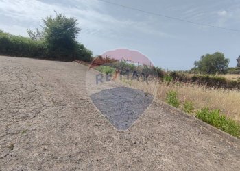 Giardino - Villa VIA ANTONINO GRAVINA IL BELLICOSO
 
8, Caltagirone - foto 36