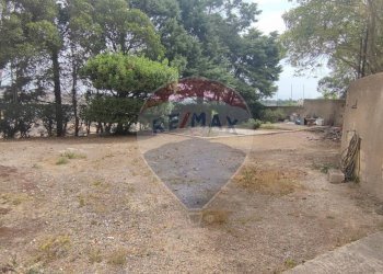 Giardino - Villa VIA ANTONINO GRAVINA IL BELLICOSO
 
8, Caltagirone - foto 37