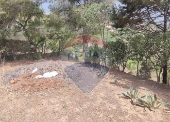 Giardino - Villa VIA ANTONINO GRAVINA IL BELLICOSO
 
8, Caltagirone - foto 38