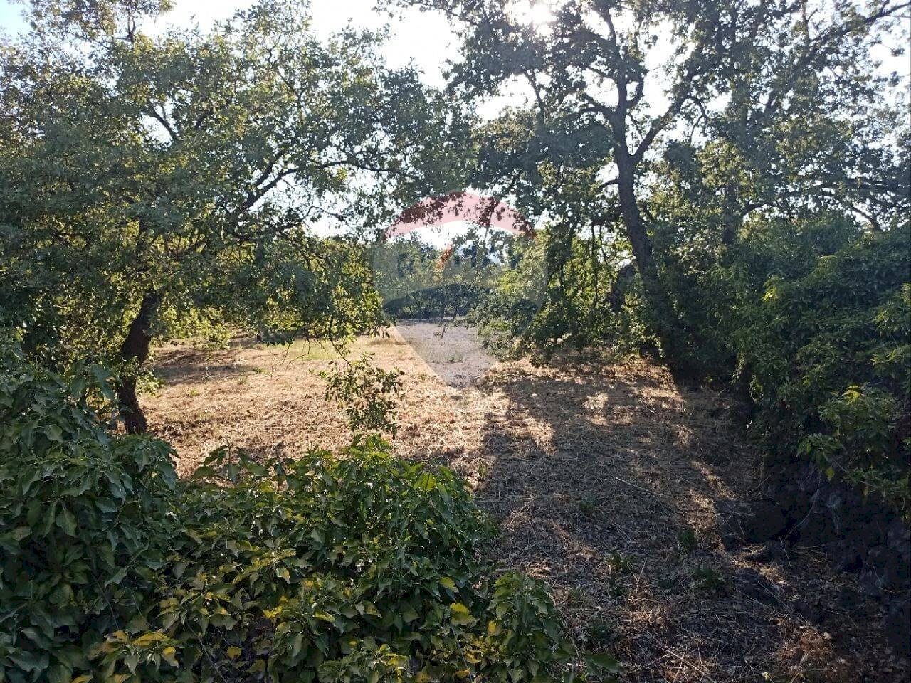 Giardino - Terreno edificabile via mareneve
 
80, Linguaglossa - foto 2