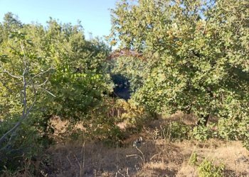 Giardino - Terreno edificabile via mareneve
 
80, Linguaglossa - foto 12