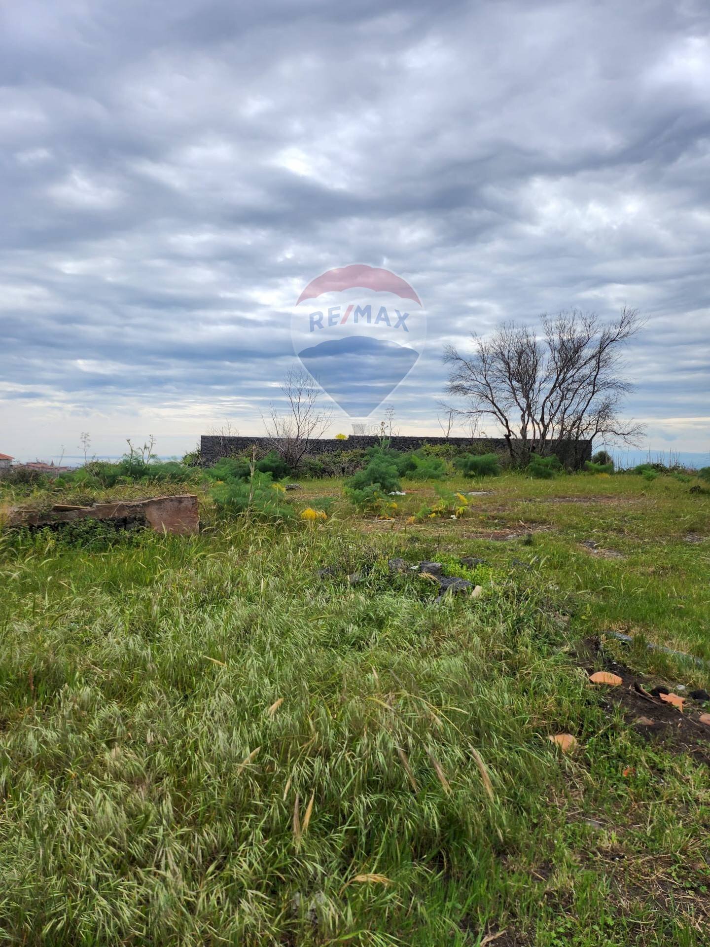 Giardino - Terreno edificabile Via Etnea
 
1, Gravina di Catania - foto 1