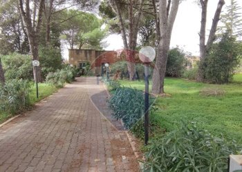 Giardino - Villa VIA OTTAVIA PENNA
 
32, Caltagirone - foto 4