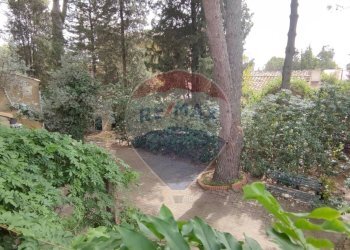 Giardino - Villa VIA OTTAVIA PENNA
 
32, Caltagirone - foto 7