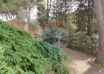 Giardino - Villa VIA OTTAVIA PENNA
 
32, Caltagirone - foto 10