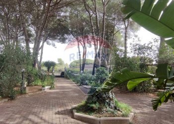 Giardino - Villa VIA OTTAVIA PENNA
 
32, Caltagirone - foto 34