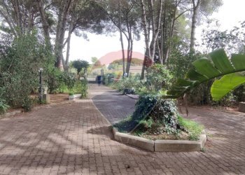 Giardino - Villa VIA OTTAVIA PENNA
 
32, Caltagirone - foto 35