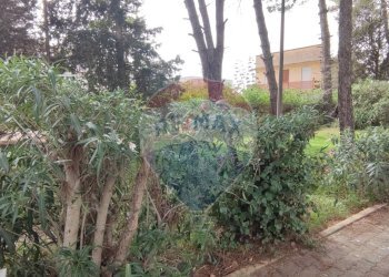 Giardino - Villa VIA OTTAVIA PENNA
 
32, Caltagirone - foto 51