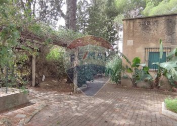 Giardino - Villa VIA OTTAVIA PENNA
 
32, Caltagirone - foto 54