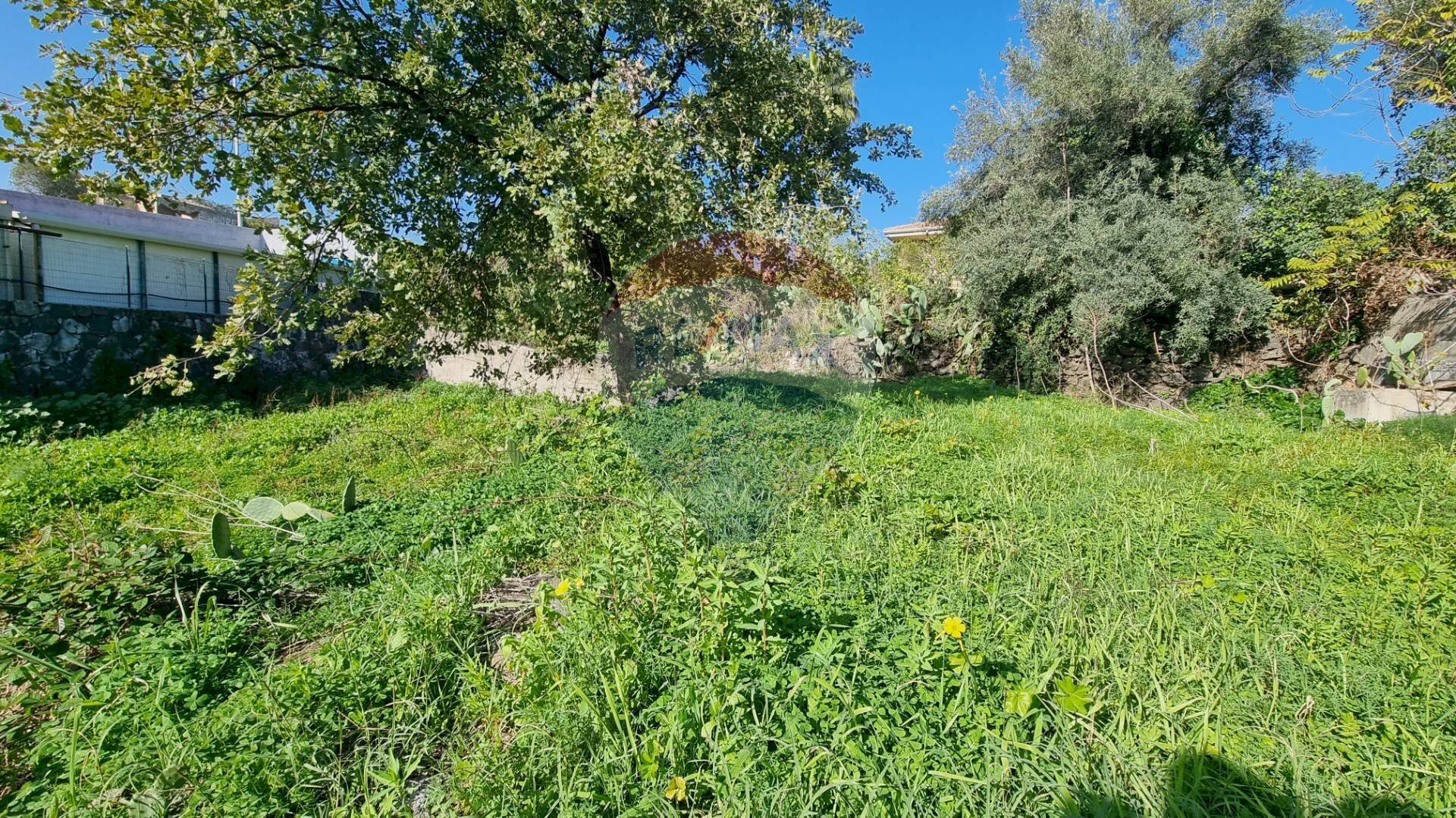 Giardino - Terreno edificabile Via Cavour
 
5/7, Tremestieri Etneo - foto 3