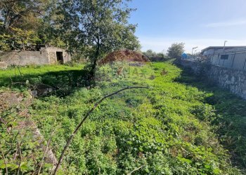 Giardino - Terreno edificabile Via Cavour
 
5/7, Tremestieri Etneo - foto 2