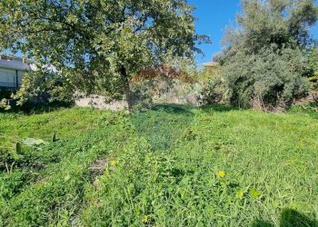 Giardino - Terreno edificabile Via Cavour
 
5/7, Tremestieri Etneo - foto 3
