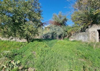 Giardino - Terreno edificabile Via Cavour
 
5/7, Tremestieri Etneo - foto 5