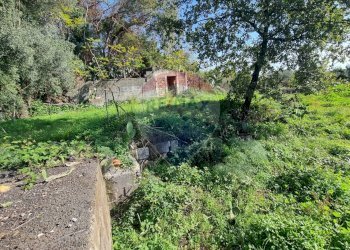 Giardino - Terreno edificabile Via Cavour
 
5/7, Tremestieri Etneo - foto 8