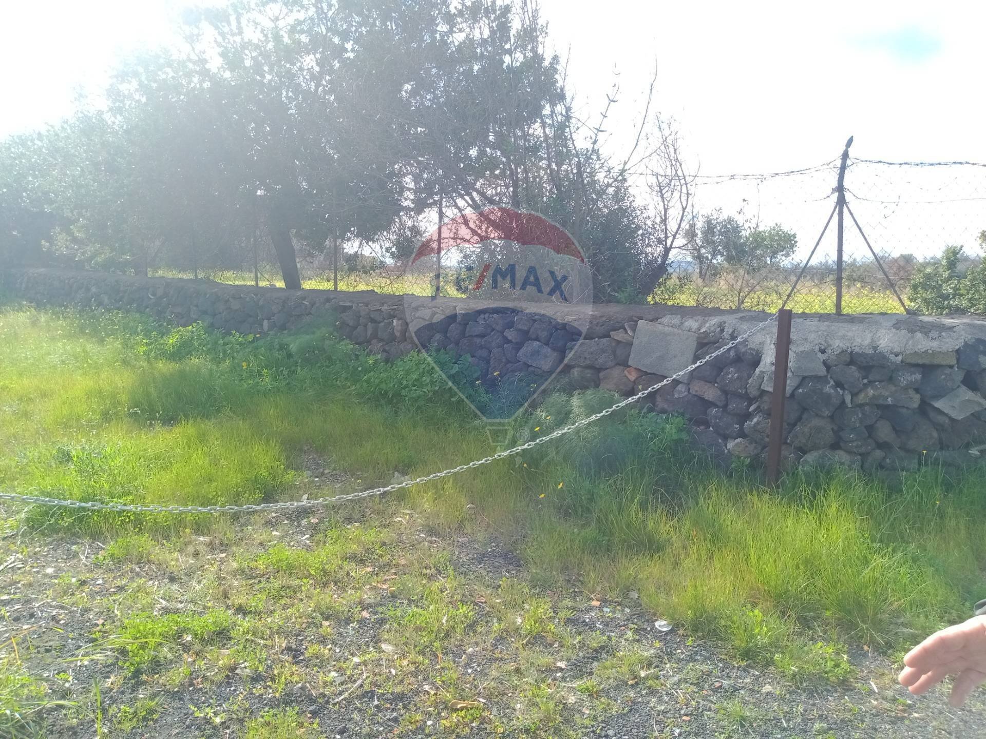 Giardino - Agricultural land Via Mariani
 
81, Catania - photo 3