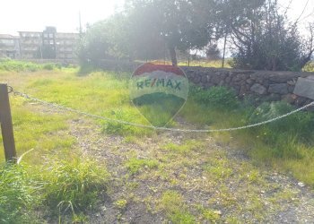 Giardino - Agricultural land Via Mariani
 
81, Catania - photo 4